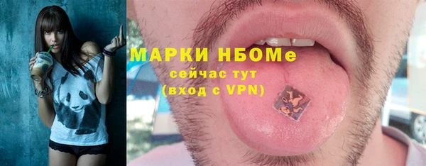 apvp Горняк