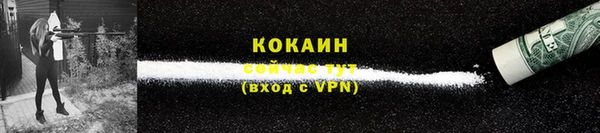 амф Гусь-Хрустальный