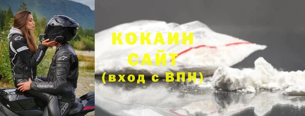 ГАЛЛЮЦИНОГЕННЫЕ ГРИБЫ Гусев