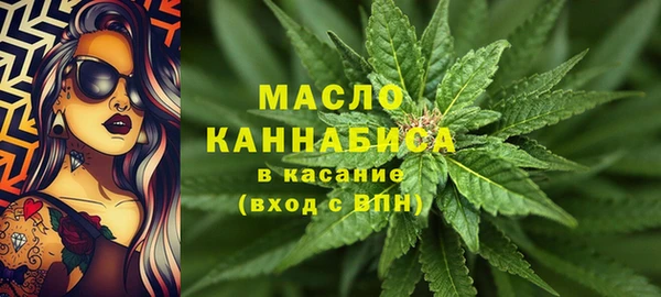 амф Гусь-Хрустальный