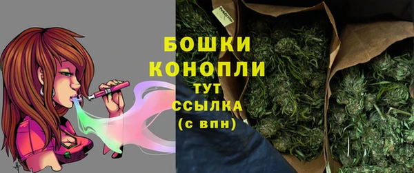 apvp Горняк