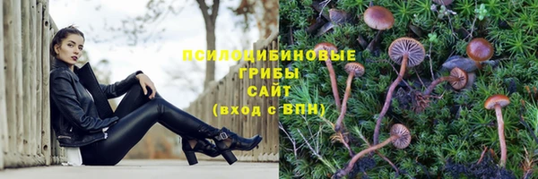 прущий лед Гусиноозёрск