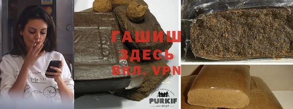 ГАЛЛЮЦИНОГЕННЫЕ ГРИБЫ Гусев