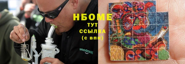 ГАЛЛЮЦИНОГЕННЫЕ ГРИБЫ Гусев