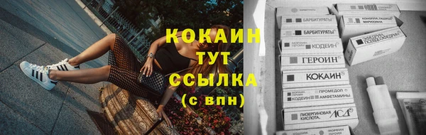 амф Гусь-Хрустальный