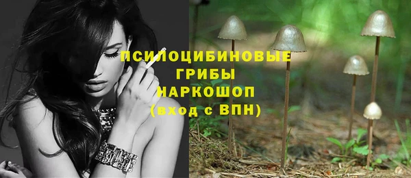 ГАЛЛЮЦИНОГЕННЫЕ ГРИБЫ Гусев