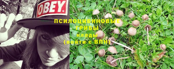 альфа пвп Горнозаводск