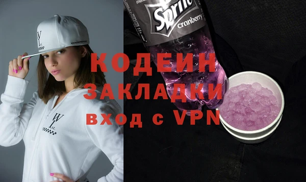 амф Гусь-Хрустальный